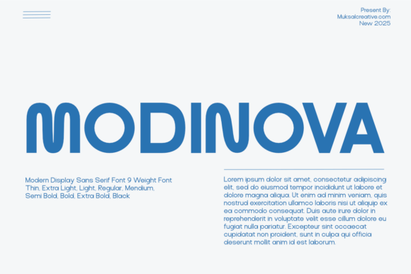Modinova: The Modern Sans Serif Font for Polished Branding