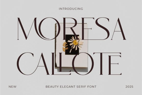 Moresa Callote: A Premium Serif for High-End Digital Branding