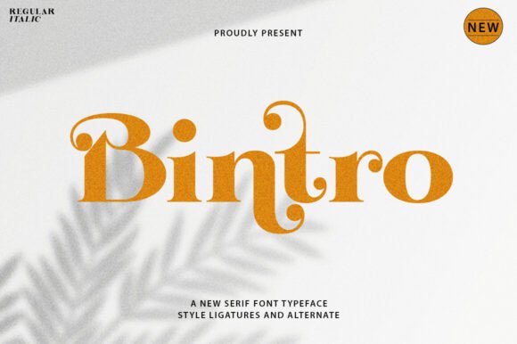 Why Bintro Serif Typeface Transformed My Brand Identity